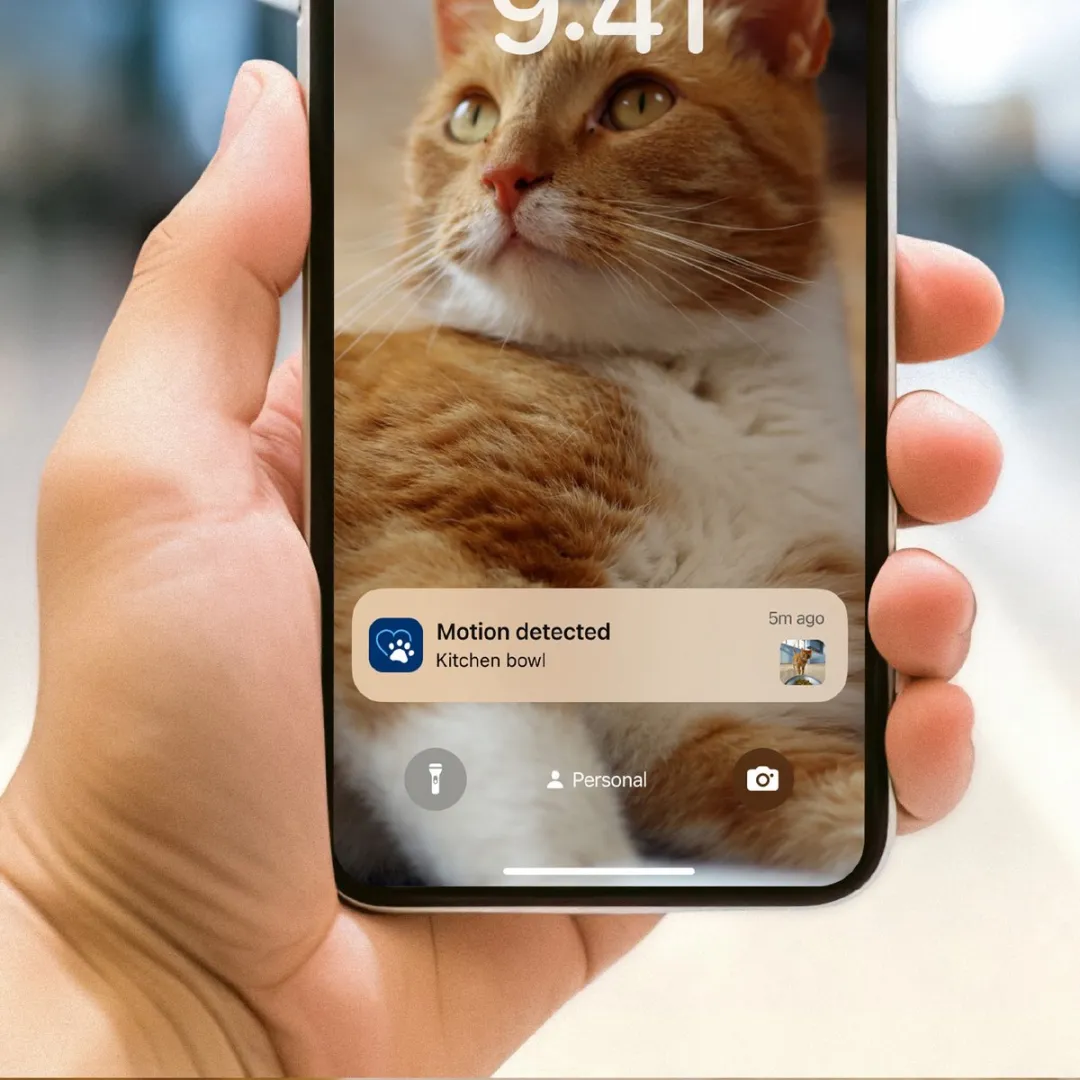Philips Pet Slimme Voerautomaat PAW5320/02 - Grijs