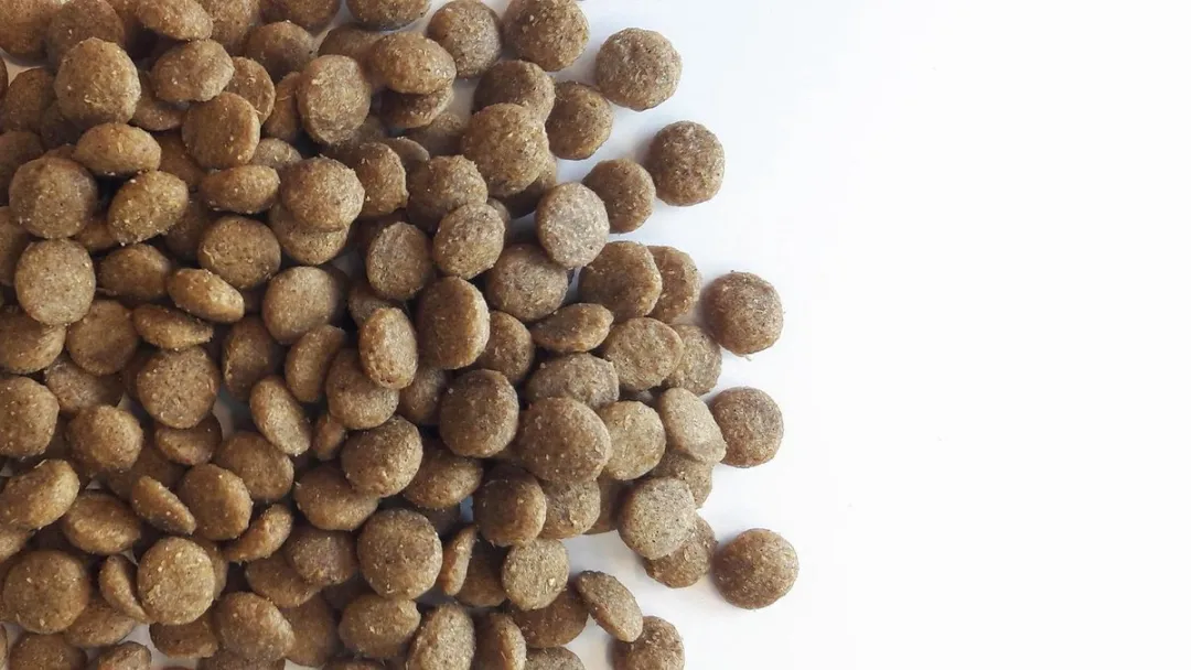 Carocroc Senior Kattenvoer Lam/Gevogelte/Vis 400g