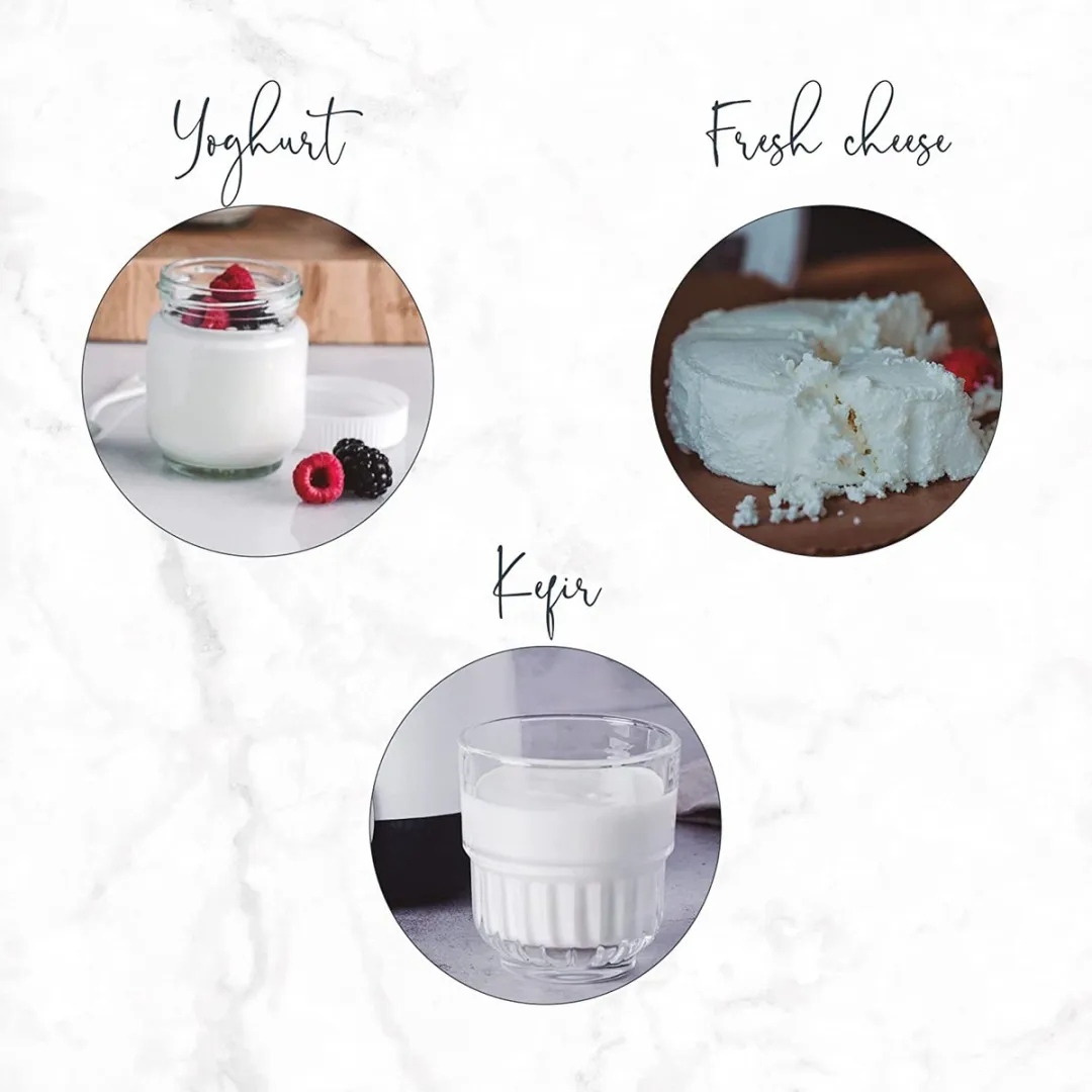 Lacor 69243 Yoghurtmaker 2L - Wit