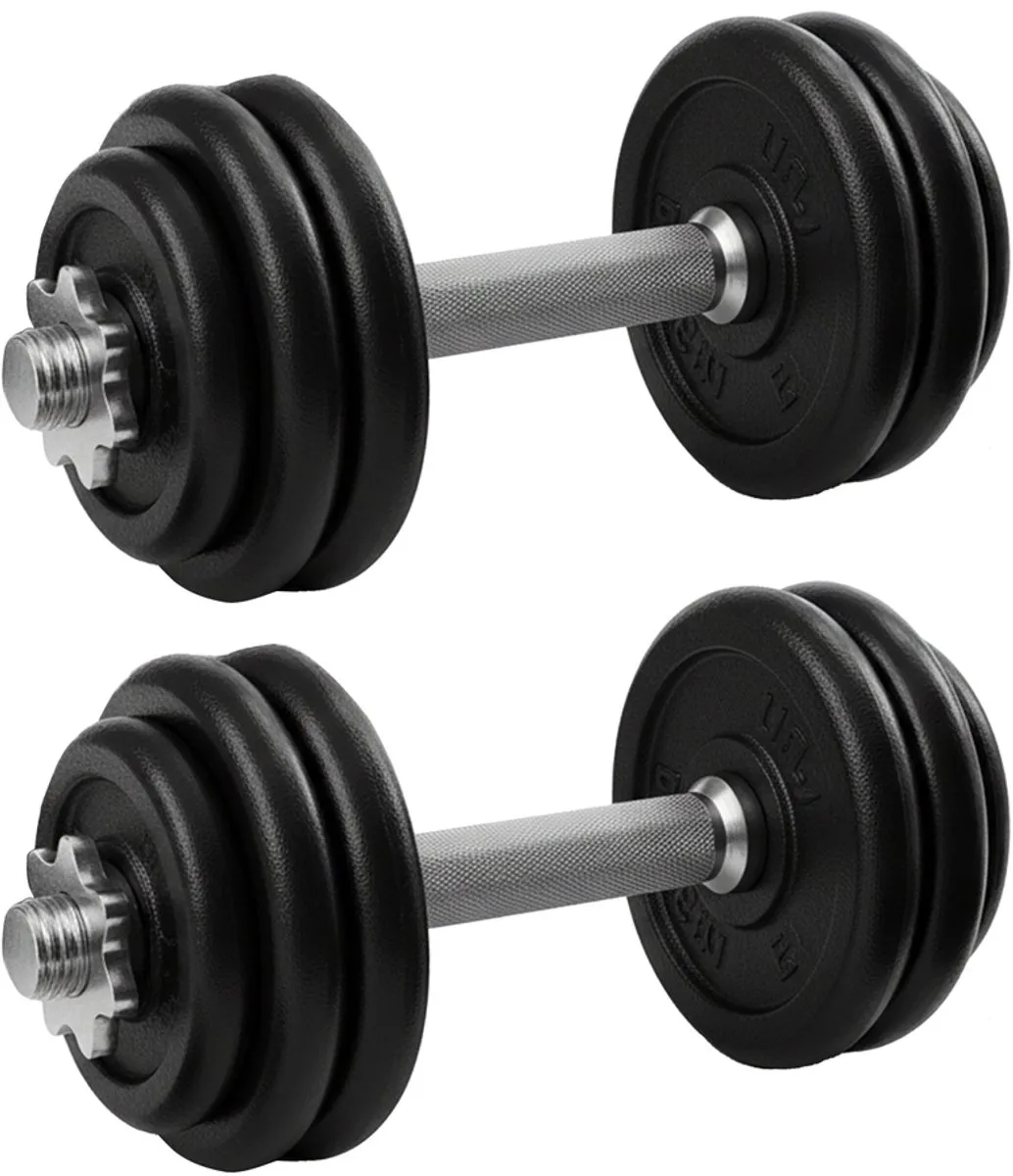 Songmics Halterset 30kg - 2x15kg Gietijzer Zwart