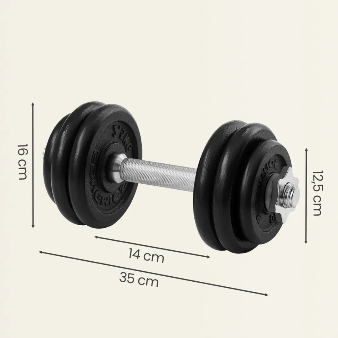 Songmics Halterset 30kg - 2x15kg Gietijzer Zwart