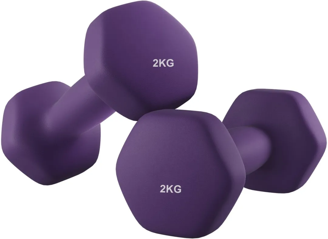Songmics SYL64PL Hexagon Halterset 2x2kg