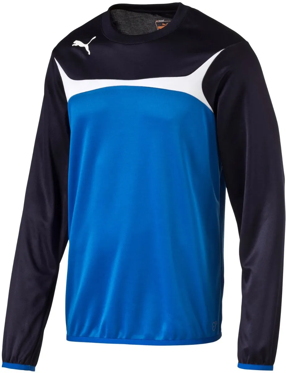 PUMA Esito 3 Training Sweat Heren