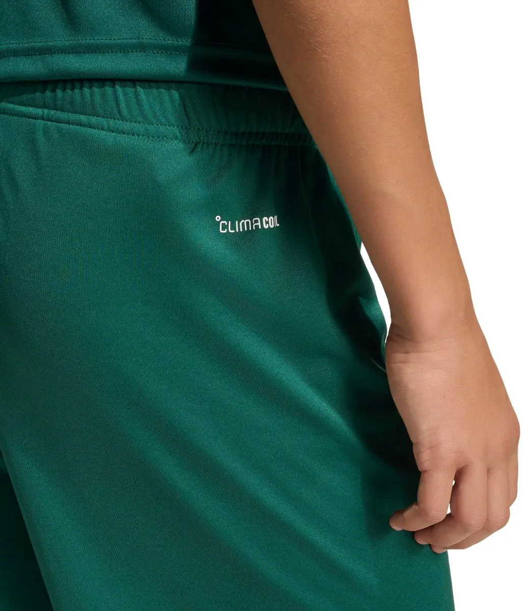 adidas Entrada 26 Korte Broek - 13-14 Years Team Dark Green