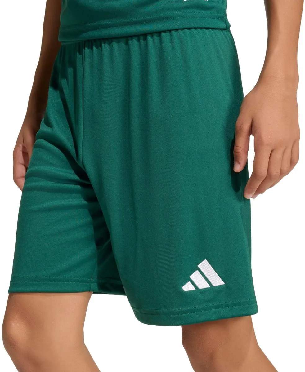 adidas Entrada 26 Korte Broek - 13-14 Years Team Dark Green