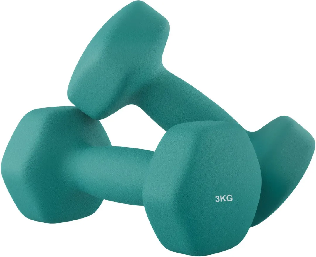 Songmics SYL906Q01 Hexagon Dumbbellset 2x3kg