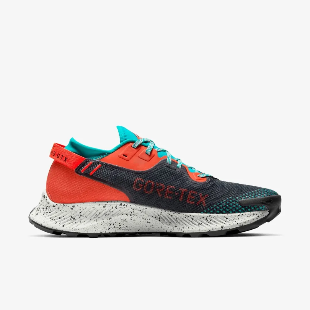Nike Pegasus Trail 2 GORE-TEX