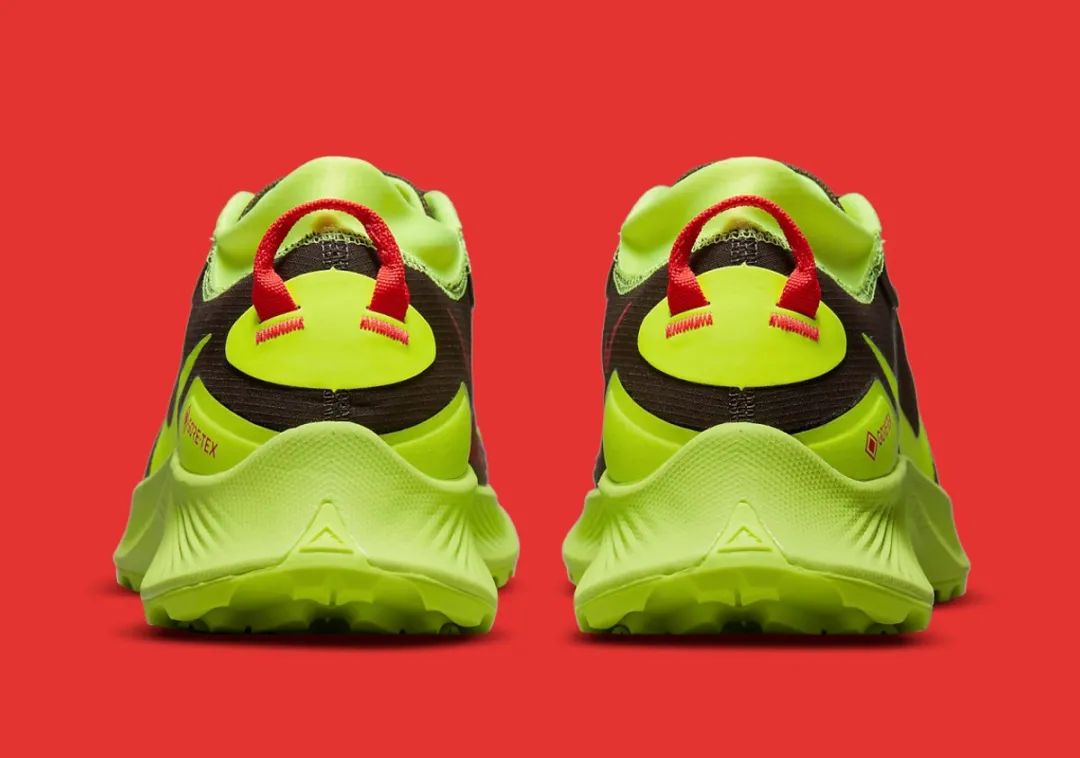 Nike Pegasus Trail 3 GTX - Maat 39