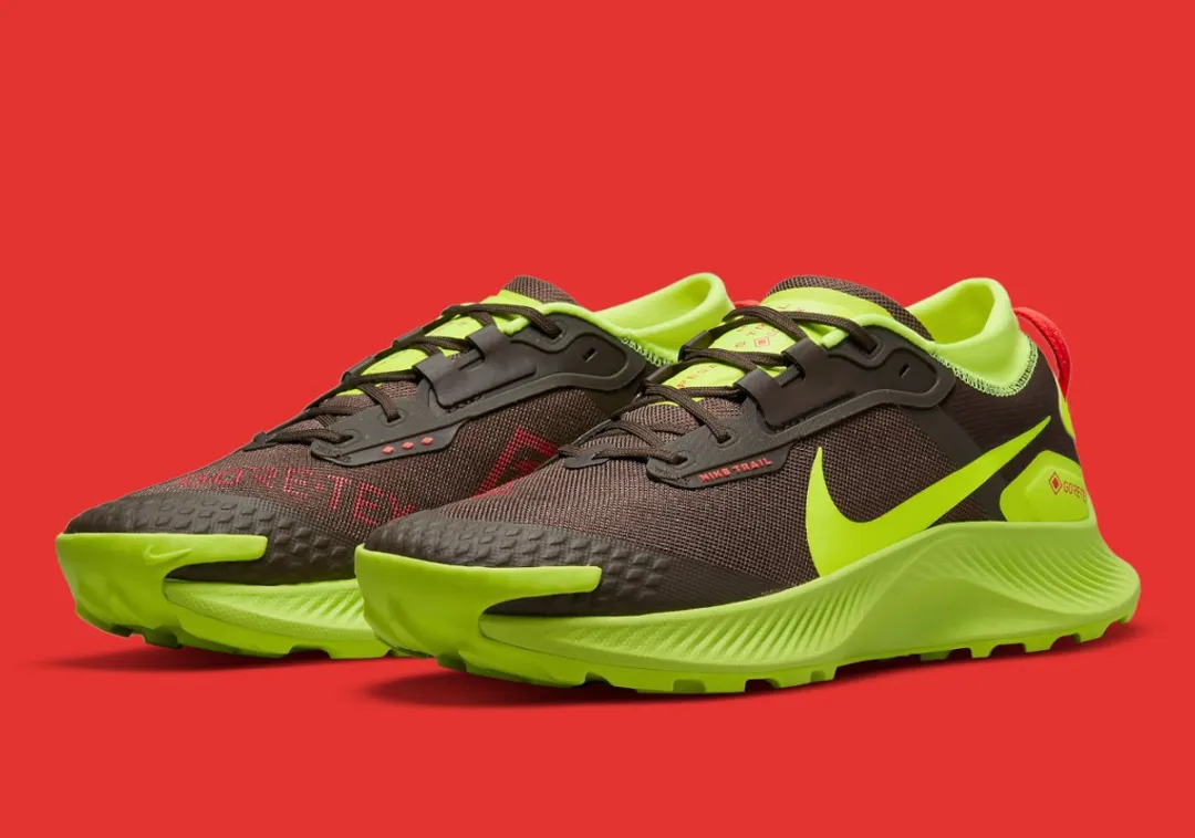 Nike Pegasus Trail 3 GTX - 38.5