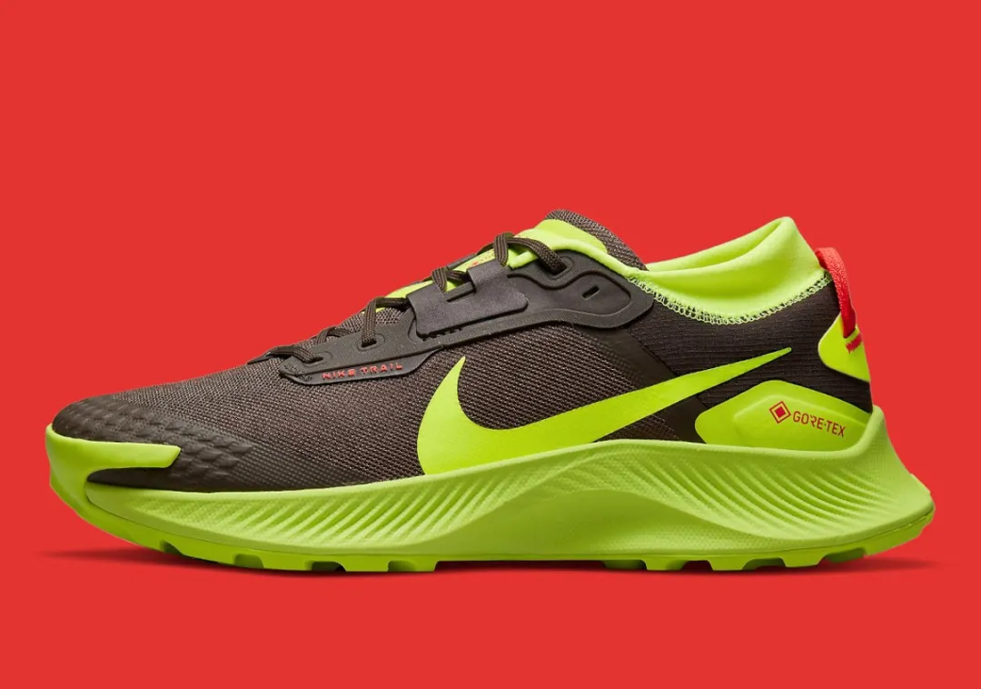 Nike Pegasus Trail 3 GTX - 38.5