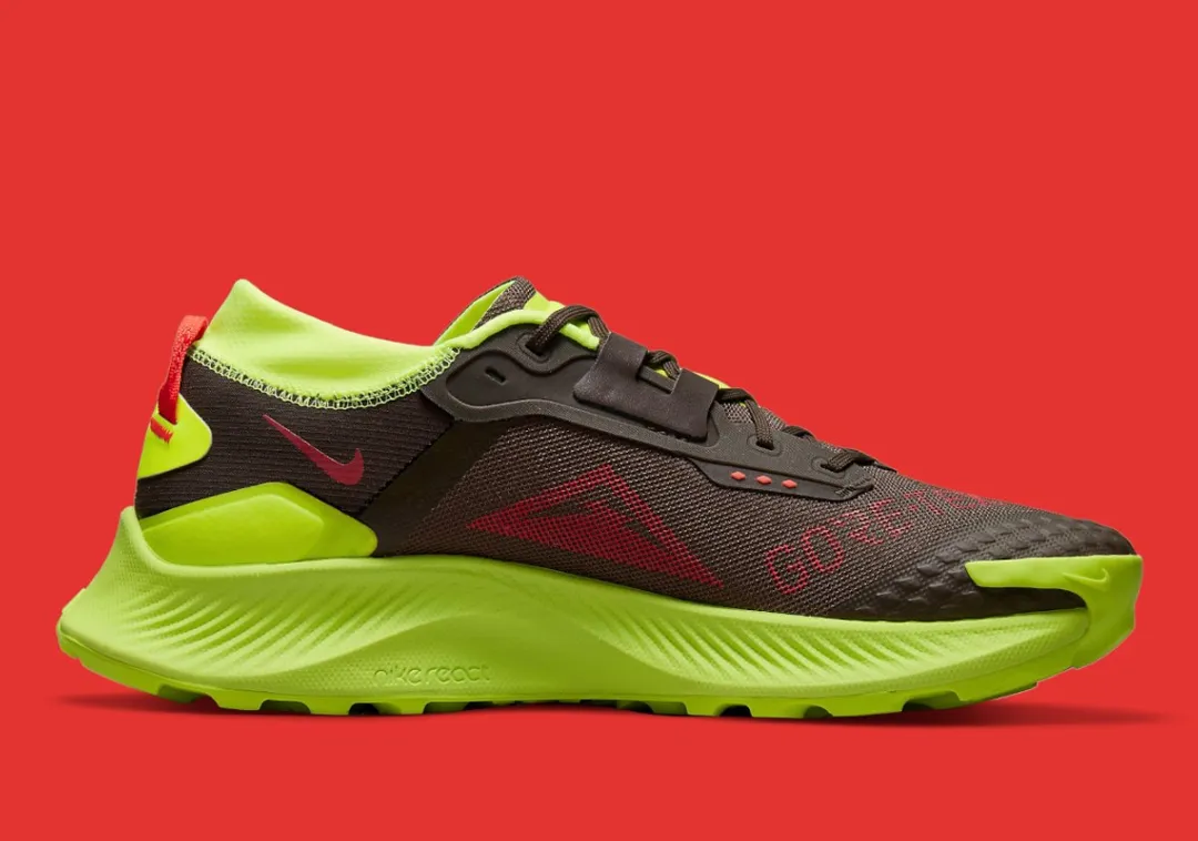 Nike Pegasus Trail 3 GTX