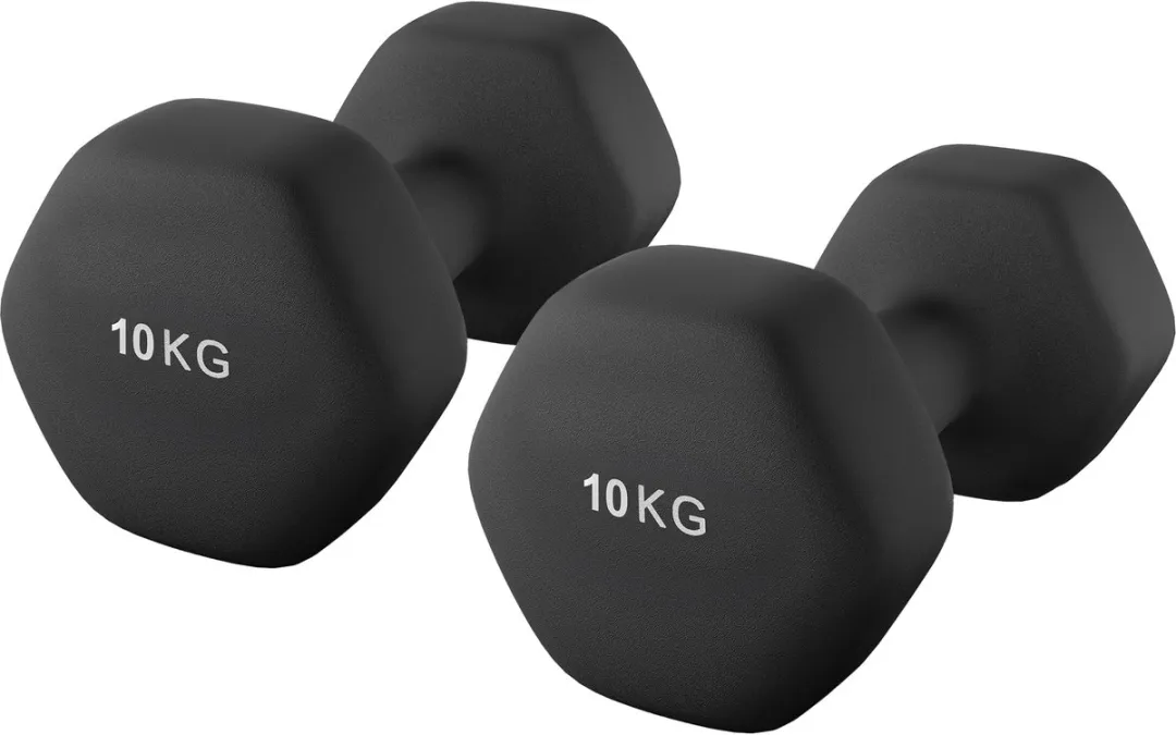 Songmics Hexagon Dumbbells 10kg