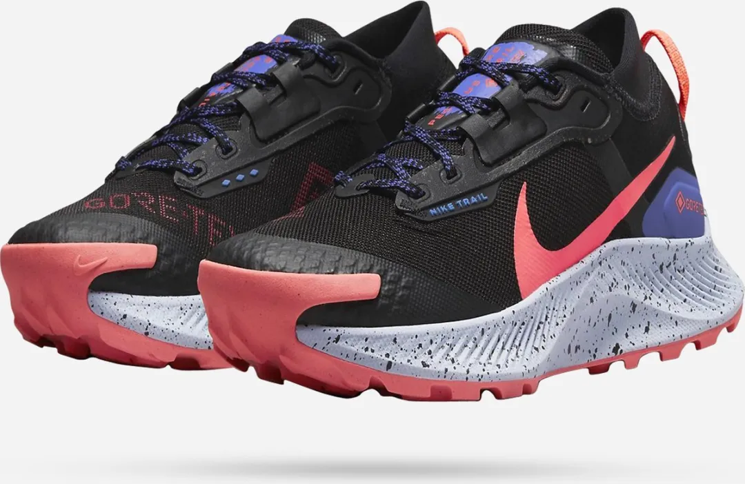 Nike Pegasus Trail 3 GORE-TEX