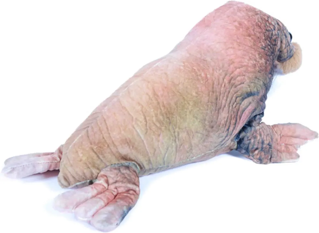 PIA Soft Toys Pluche Walrus 40cm - Bruin
