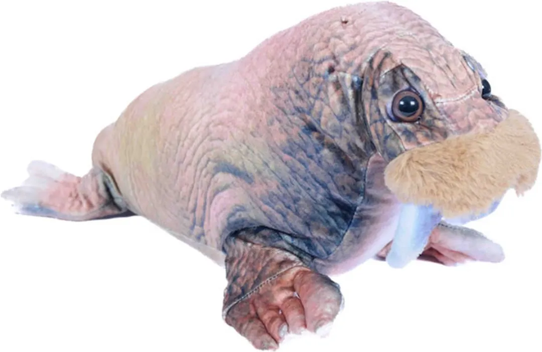 PIA Soft Toys Pluche Walrus 40cm - Bruin