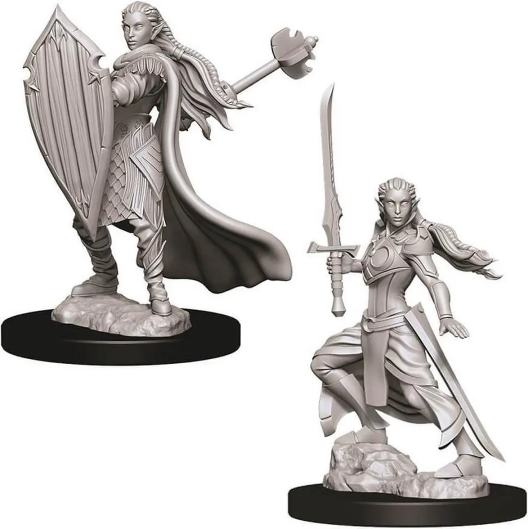Wizkids Dungeons & Dragons Nolzur's Marvelous Miniatures Elf Paladijn Vrouwelijk