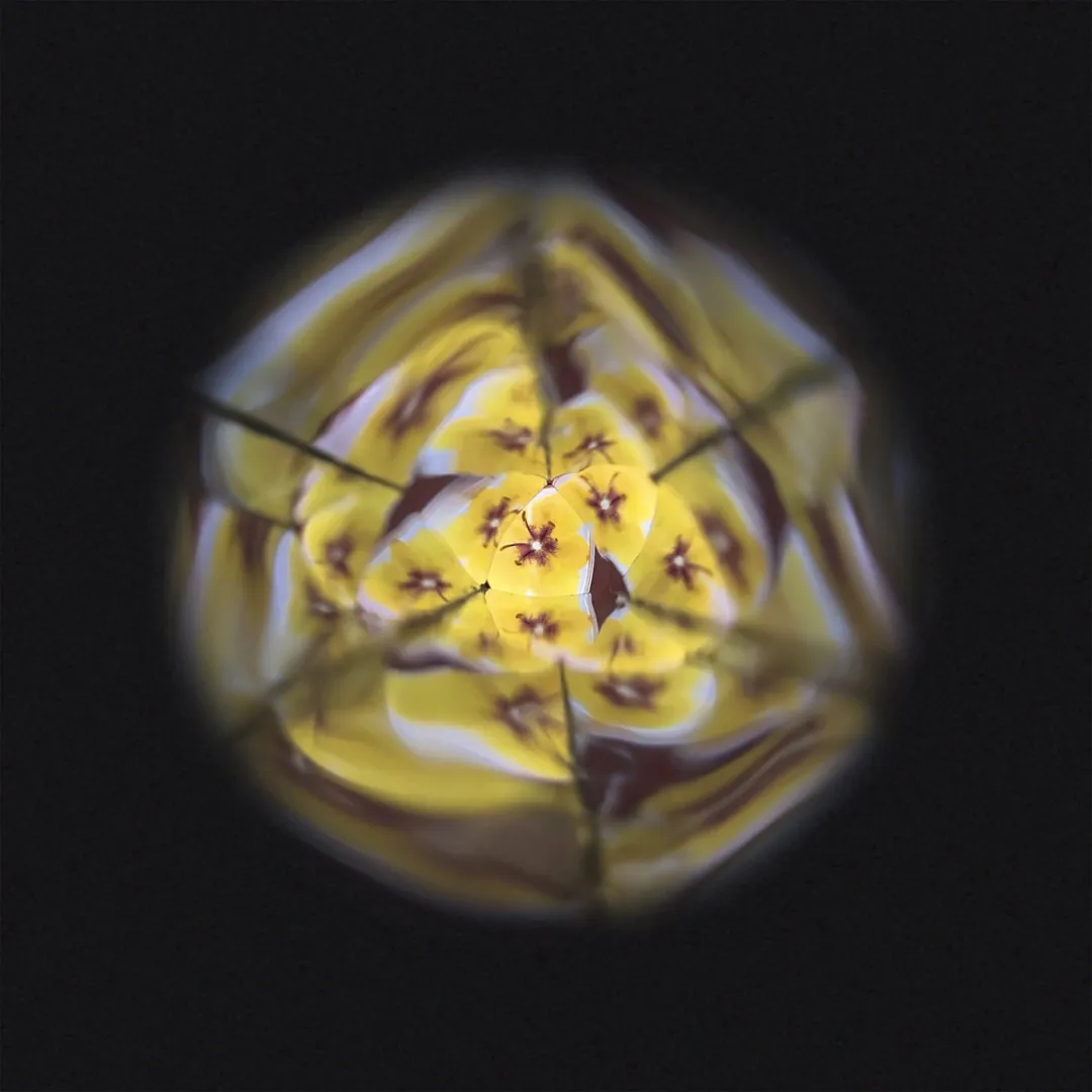 Janod Happy Garden Kaleidoscoop - Meerkleurig