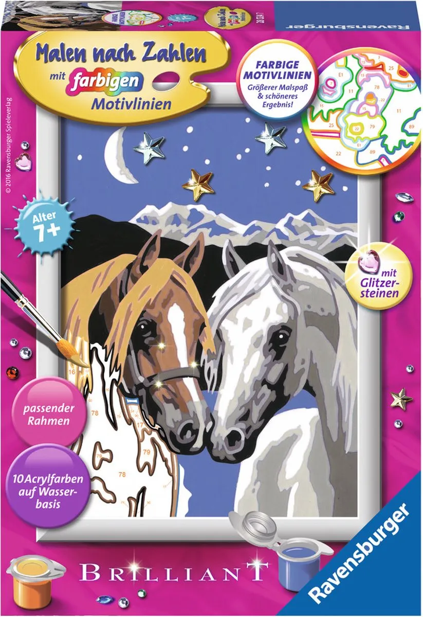Ravensburger Color by Numbers Kit 4005556280247
