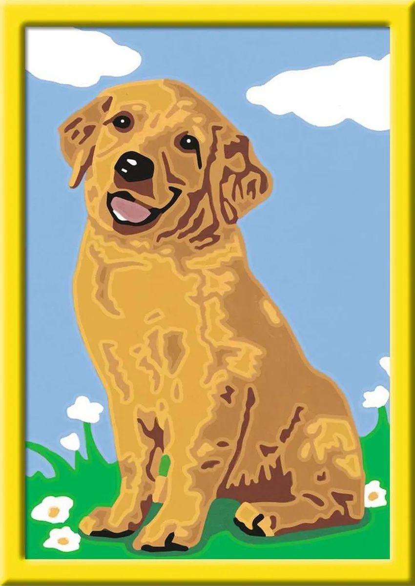 Ravensburger Schilderen op Nummer Golden Retriever 28511