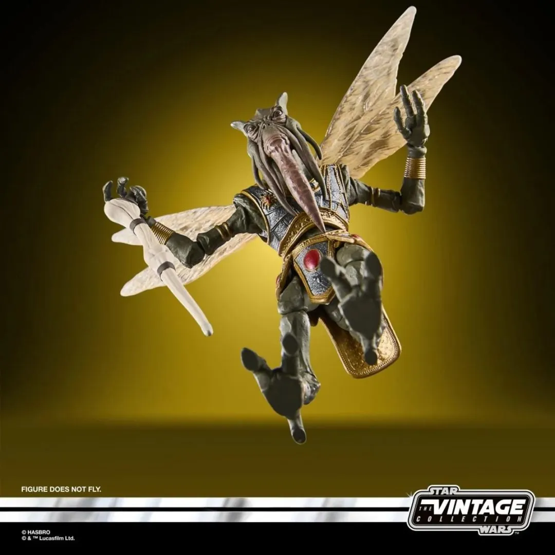 Hasbro Star Wars Poggle the Lesser Figuur 10cm