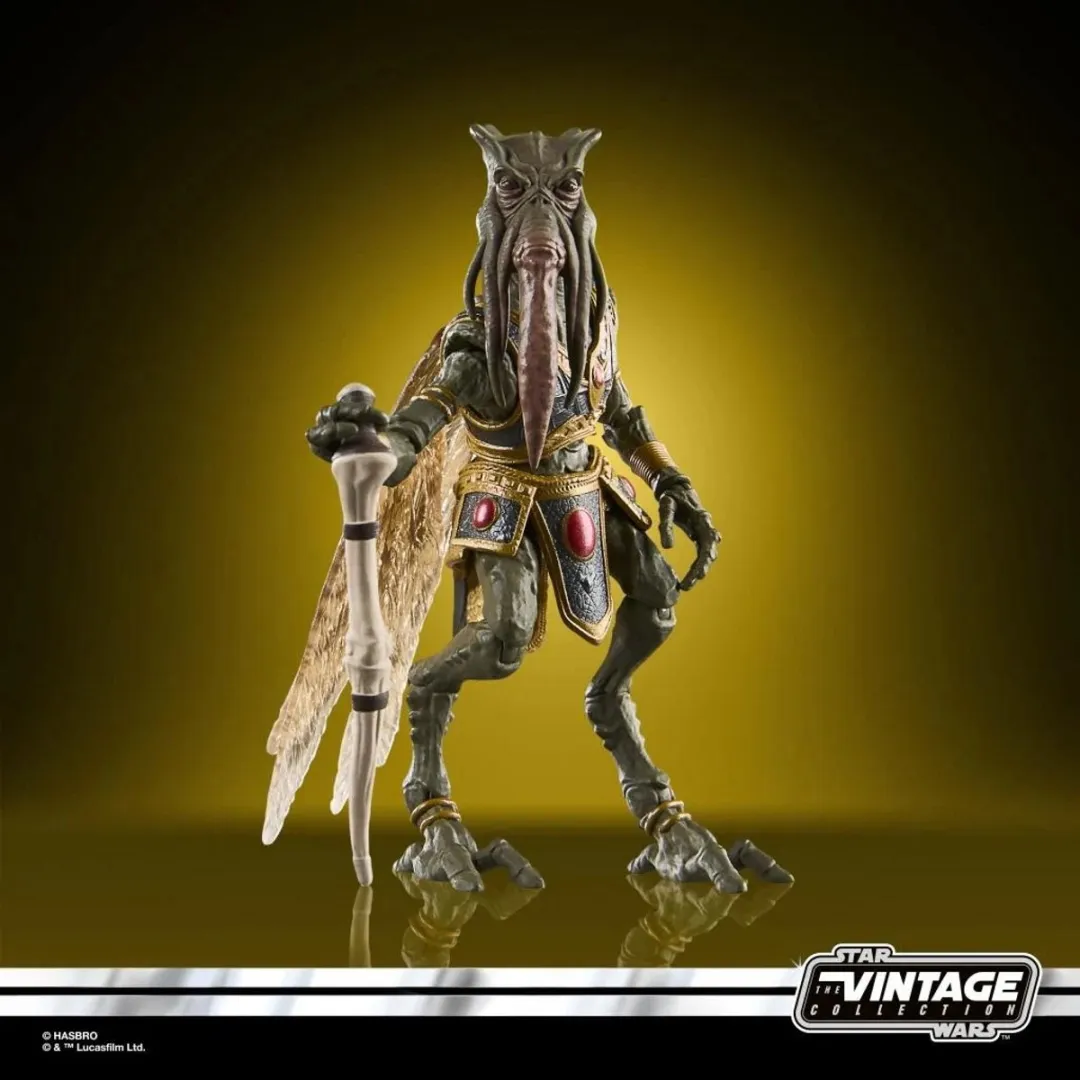 Hasbro Star Wars Poggle the Lesser Figuur 10cm