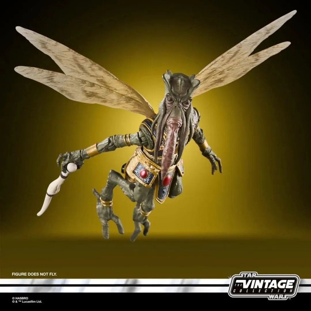 Hasbro Star Wars Poggle the Lesser Figuur 10cm