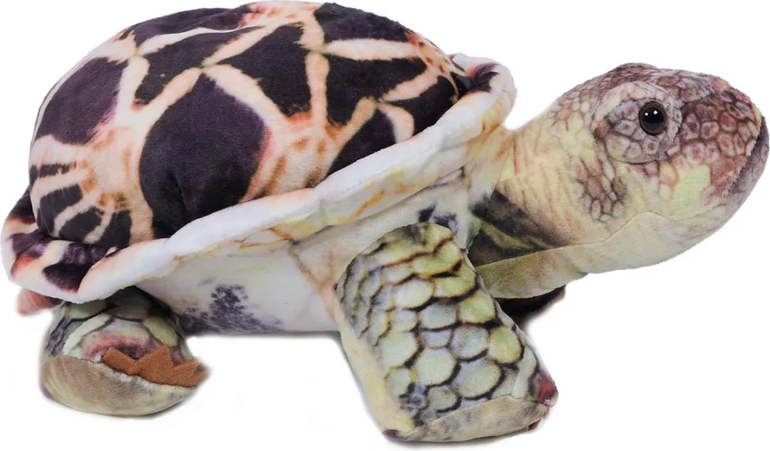 PIA Schildpad Knuffel Pluche - 35 cm - Oranje/Bruin/Geel/Wit