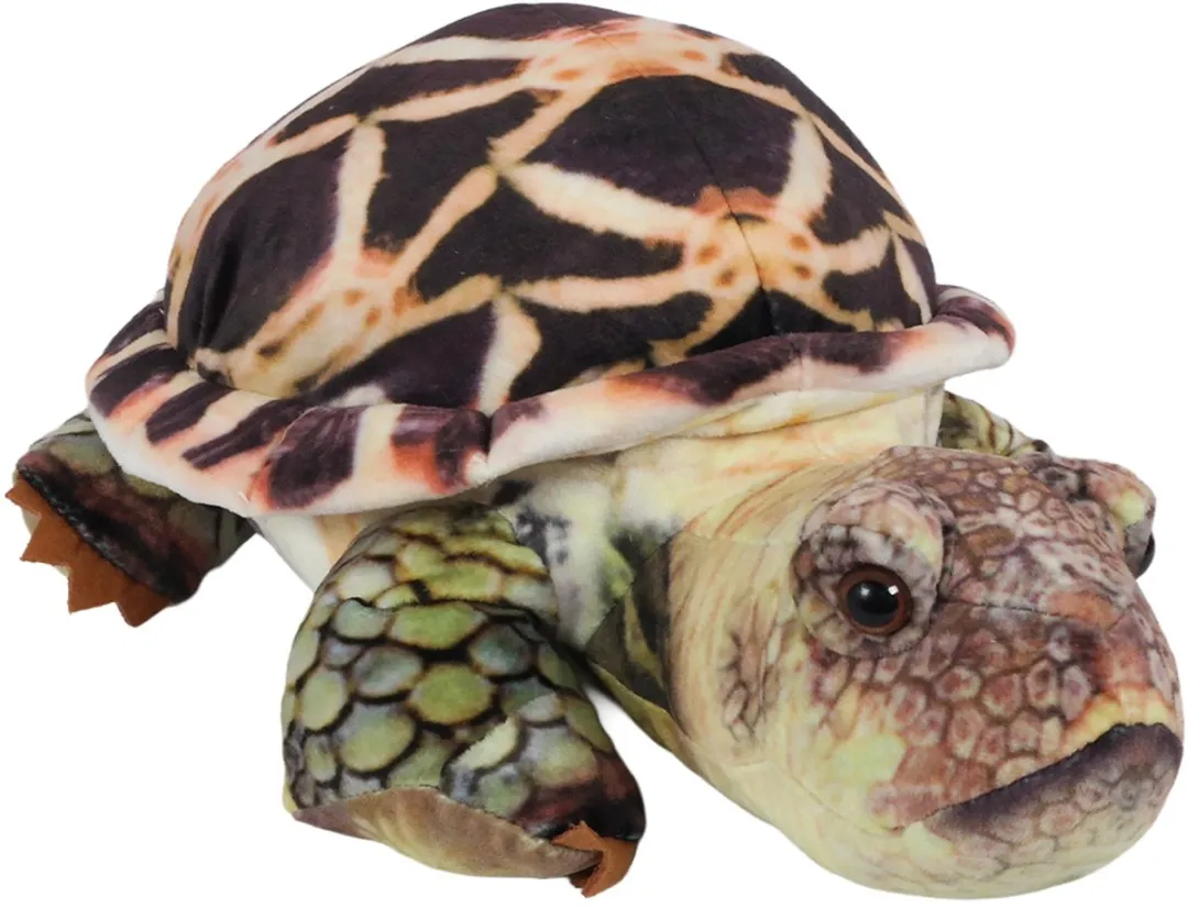 PIA Schildpad Knuffel Pluche