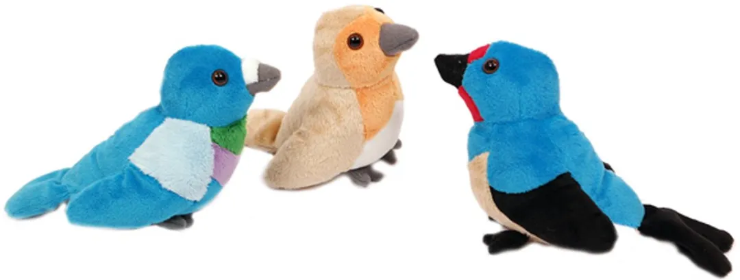 PIA Soft Toys Pluche Vogel Knuffels Set