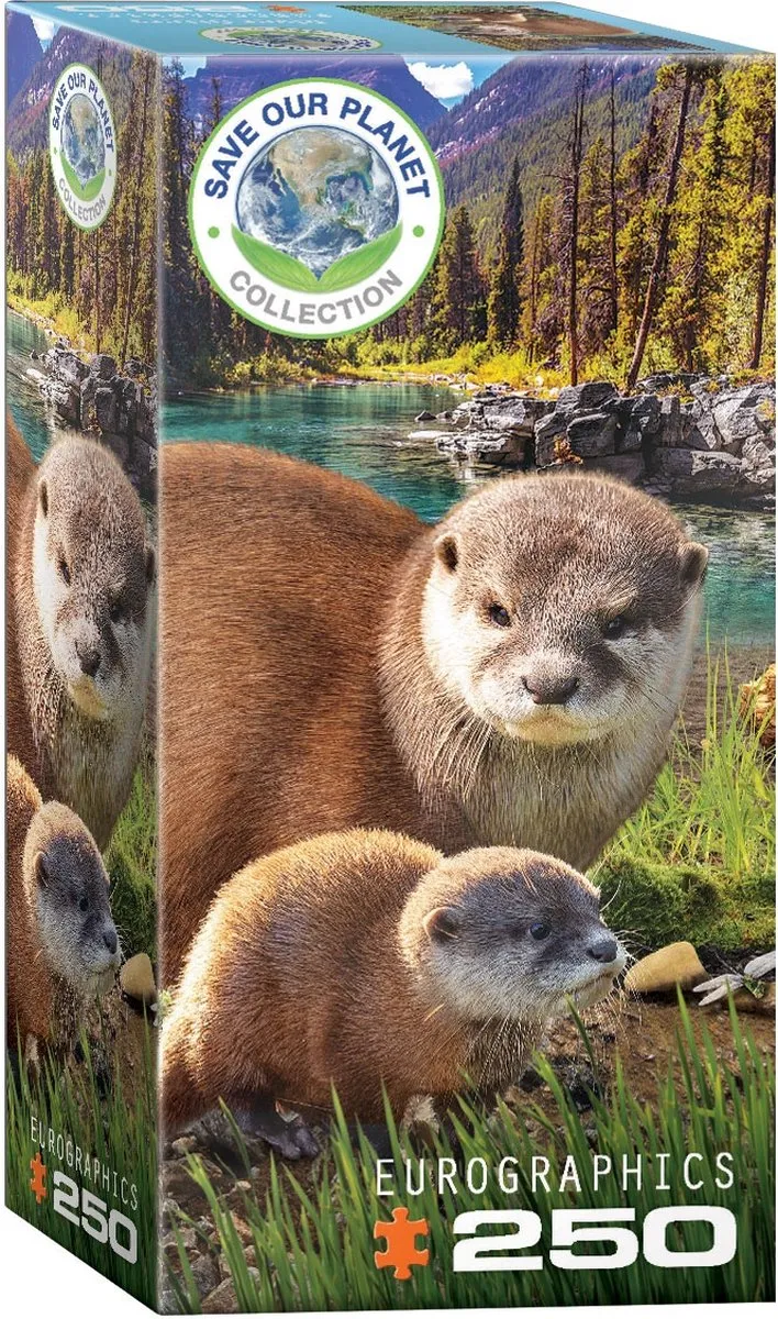 Eurographics Legpuzzel Otters 1000 Stuks