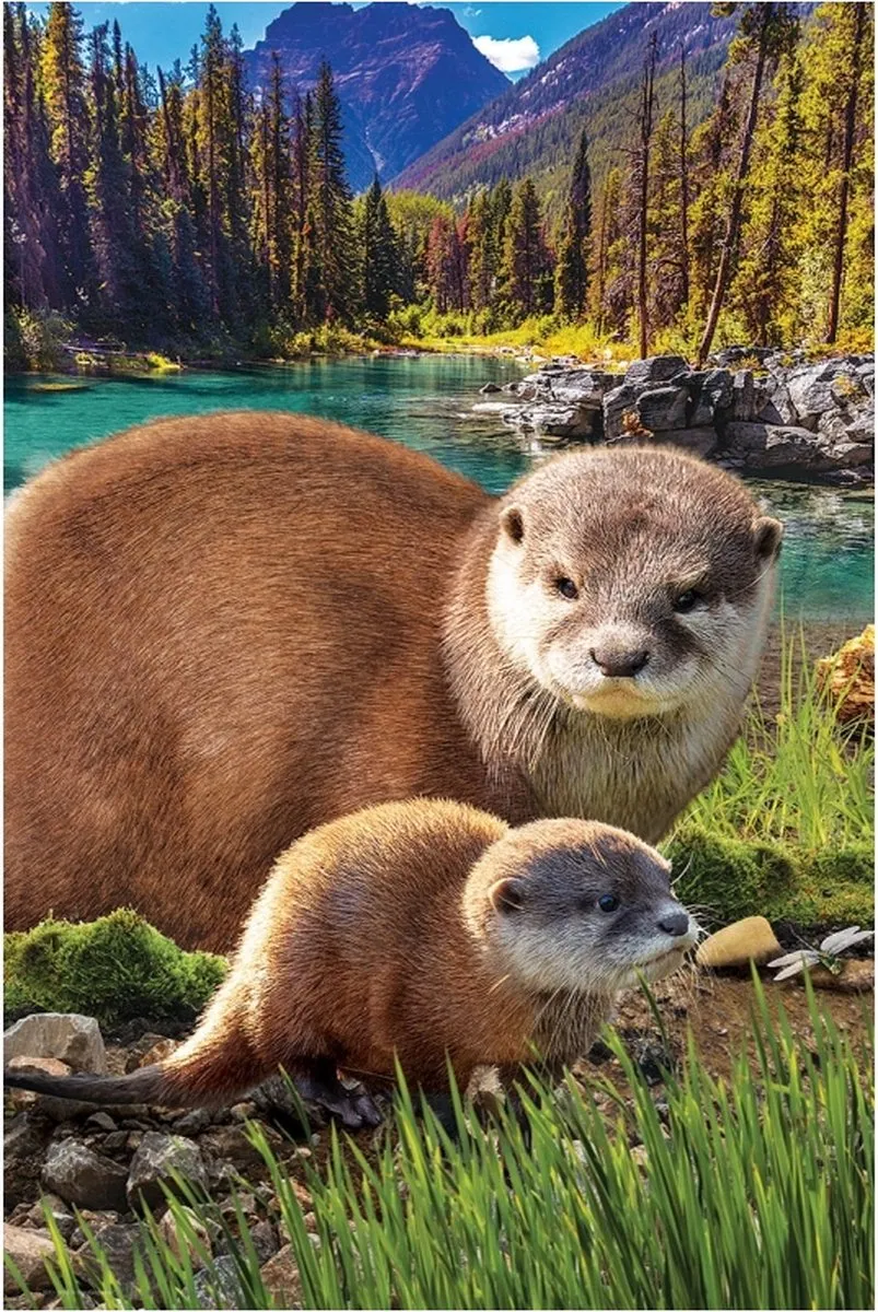 Eurographics Legpuzzel Otters 1000 Stuks - 250 XL