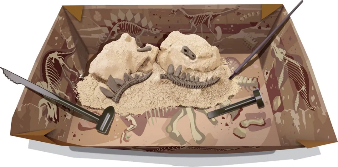 4M KidzLabs Graaf Je Dinosaurus Stegosaurus - Zwart