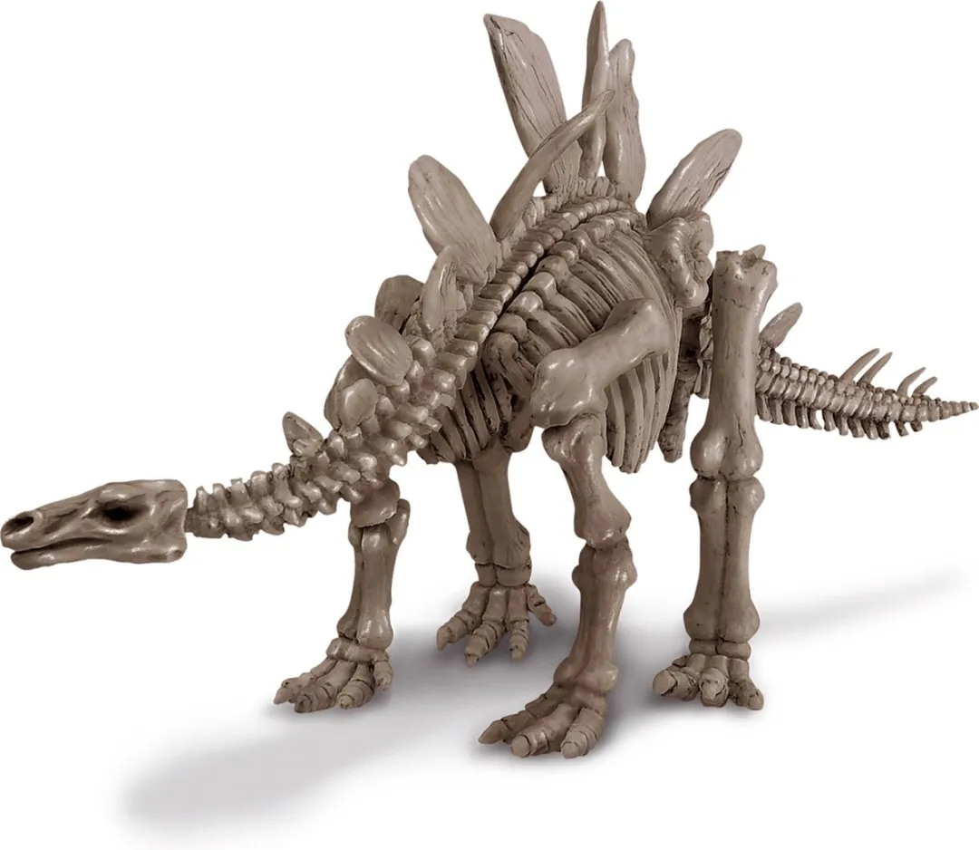 4M KidzLabs Graaf Je Dinosaurus Stegosaurus - Zwart