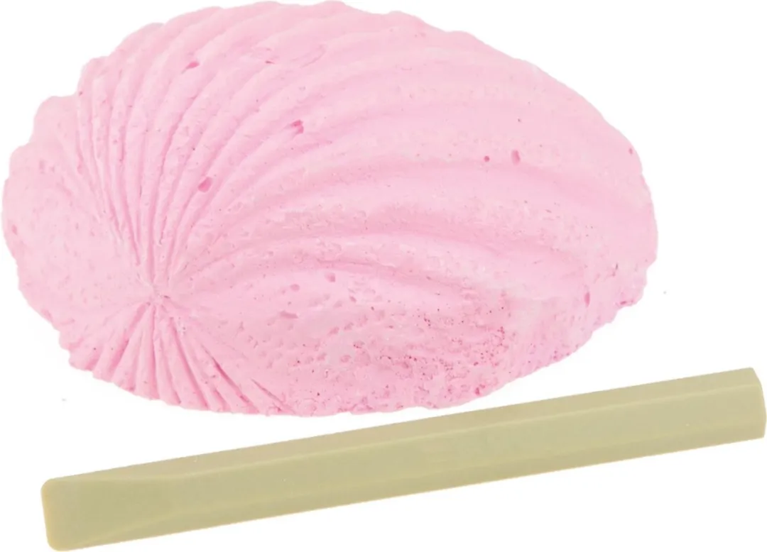 Toi-Toys Uithaksteen Schelp 7cm