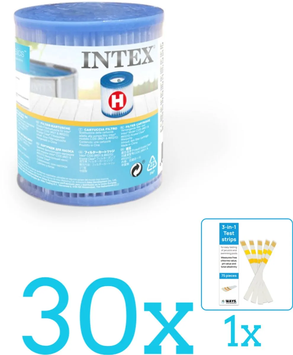 Intex Type H Filtercartridge 29007