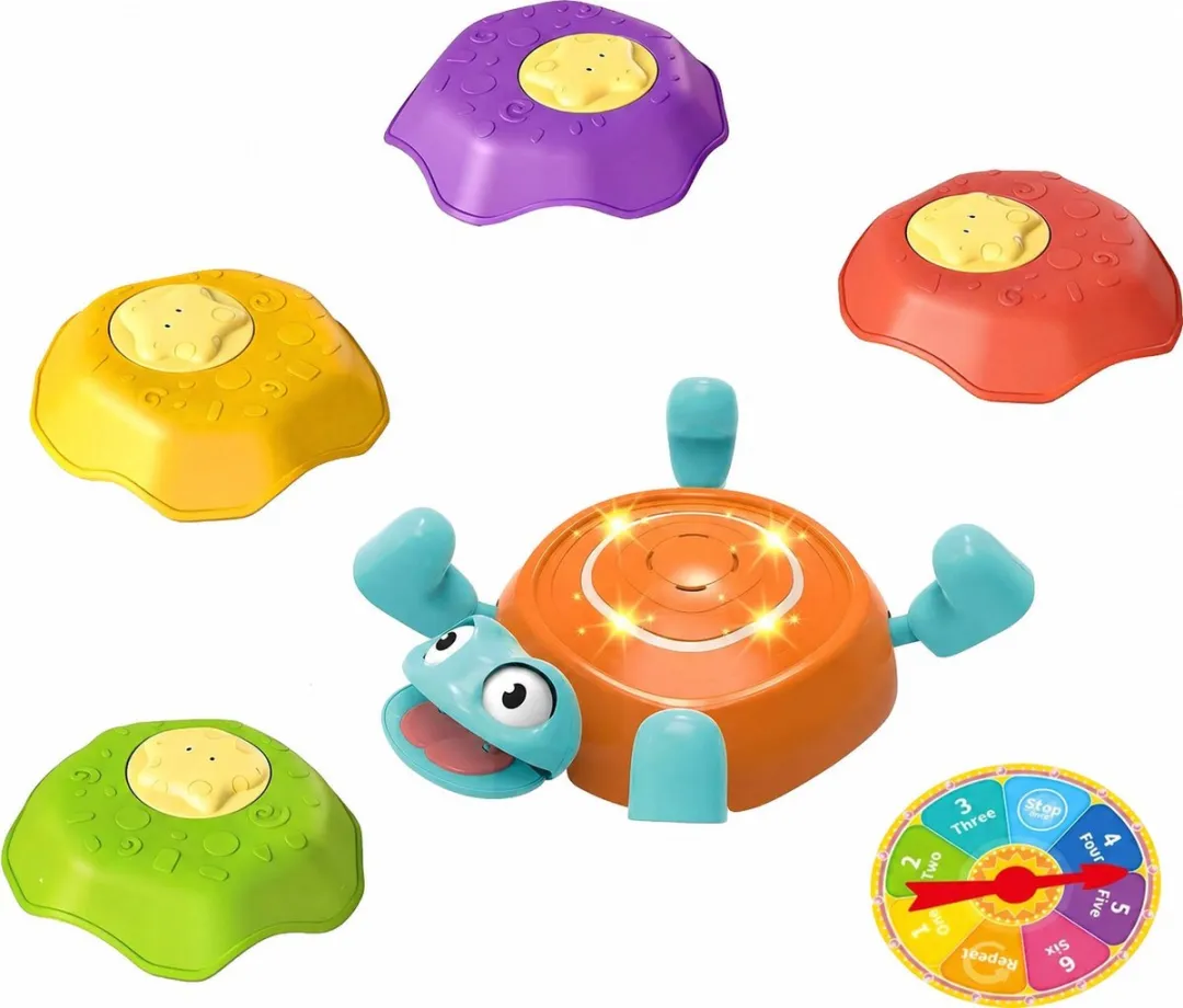 Eco Toys Schildpad Balansstenen Multicolor