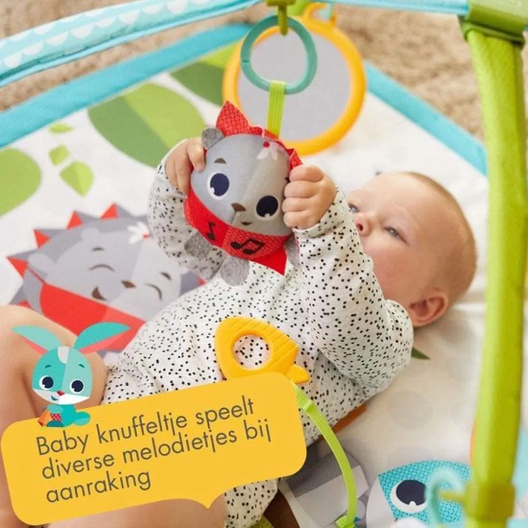 Tiny Love Babygym Sunny Day Meadow Days - 18 Speelelementen