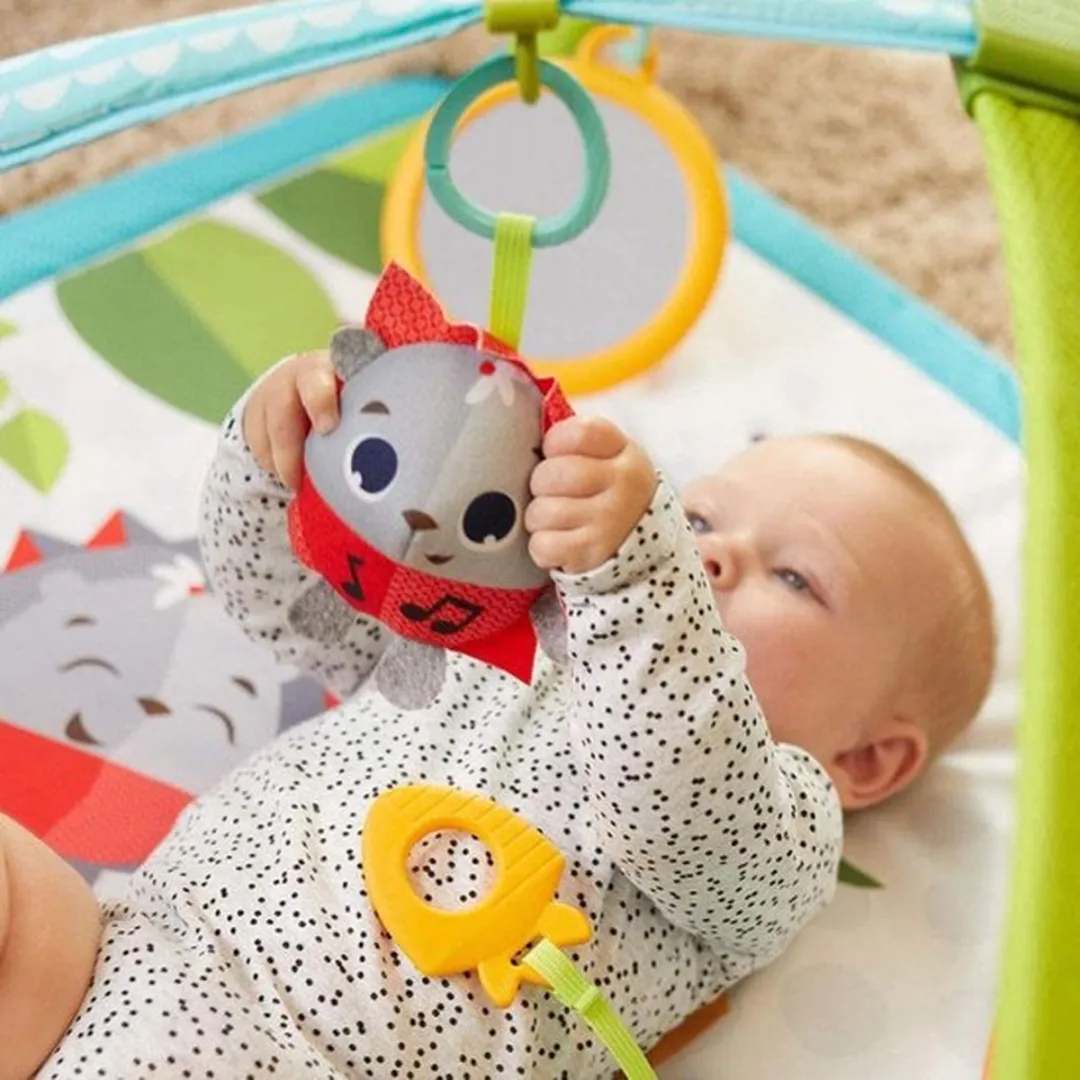 Tiny Love Babygym Sunny Day Meadow Days - 18 Speelelementen