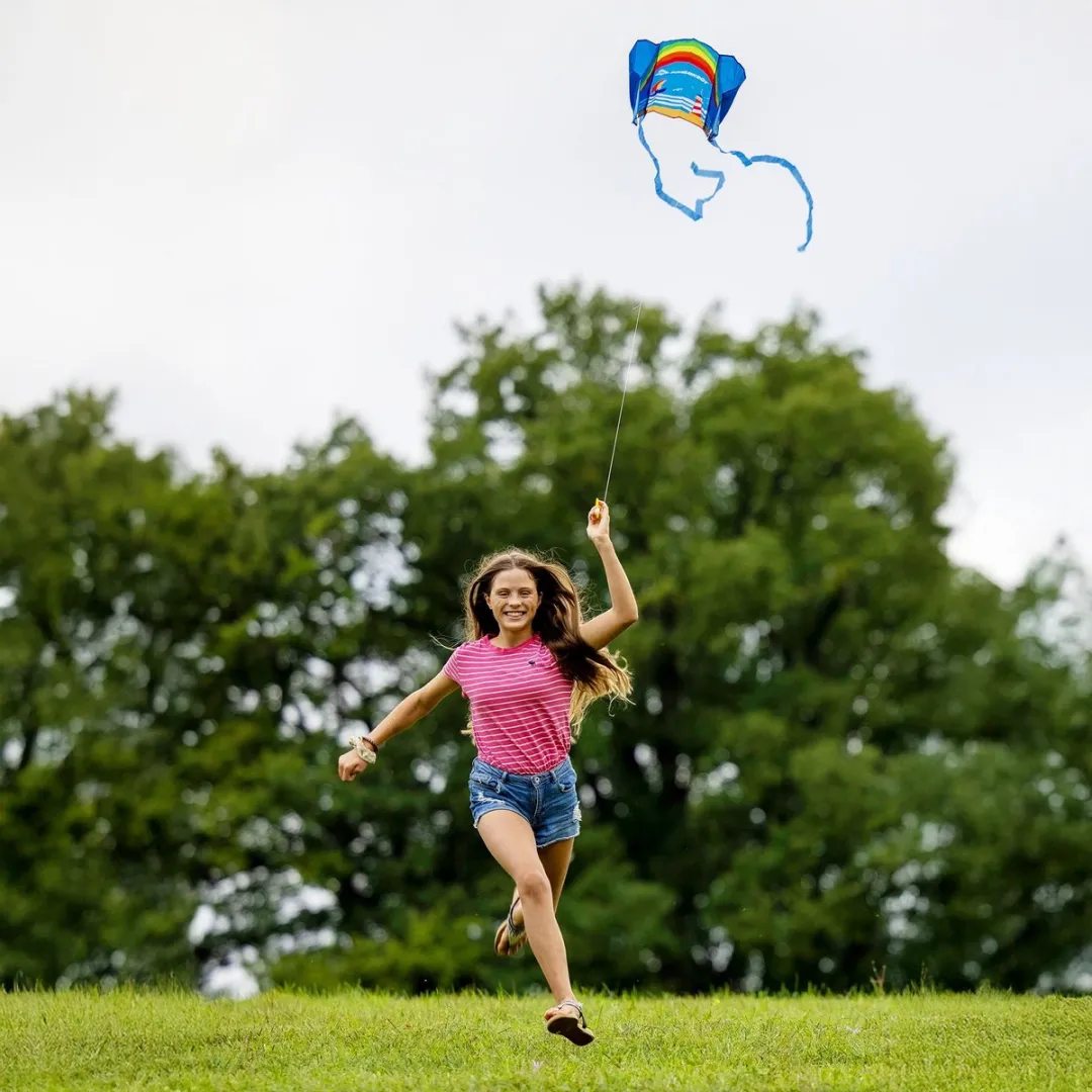 Schildkröt Pocket Kite L Vlieger