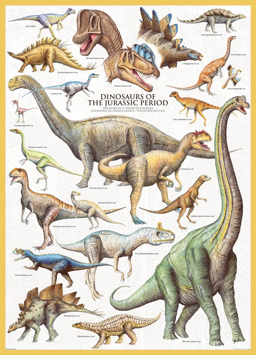 Eurographics Dinosaurs of the Jurassic Puzzel 1000 Stuks - Meerkleurig