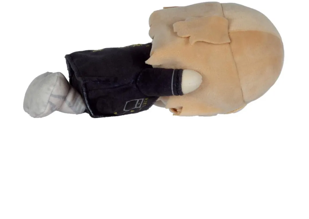 Tomy Mocchi Mocchi Manjiro Sano Knuffel - Meerkleurig