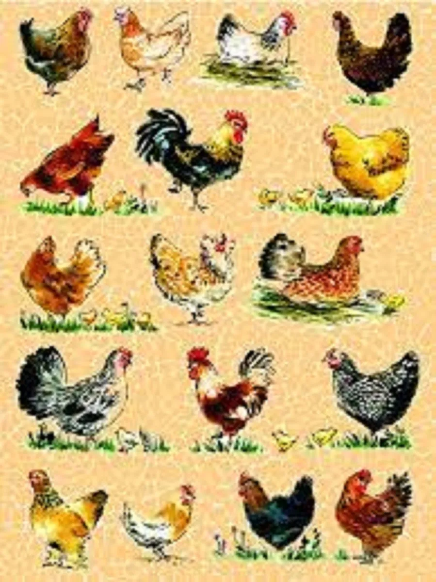 Decopatch Hobbypapier 559 Kippen