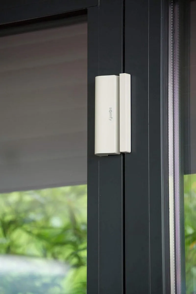 Somfy Openingsmelder 2401362 - Wit/Grijs