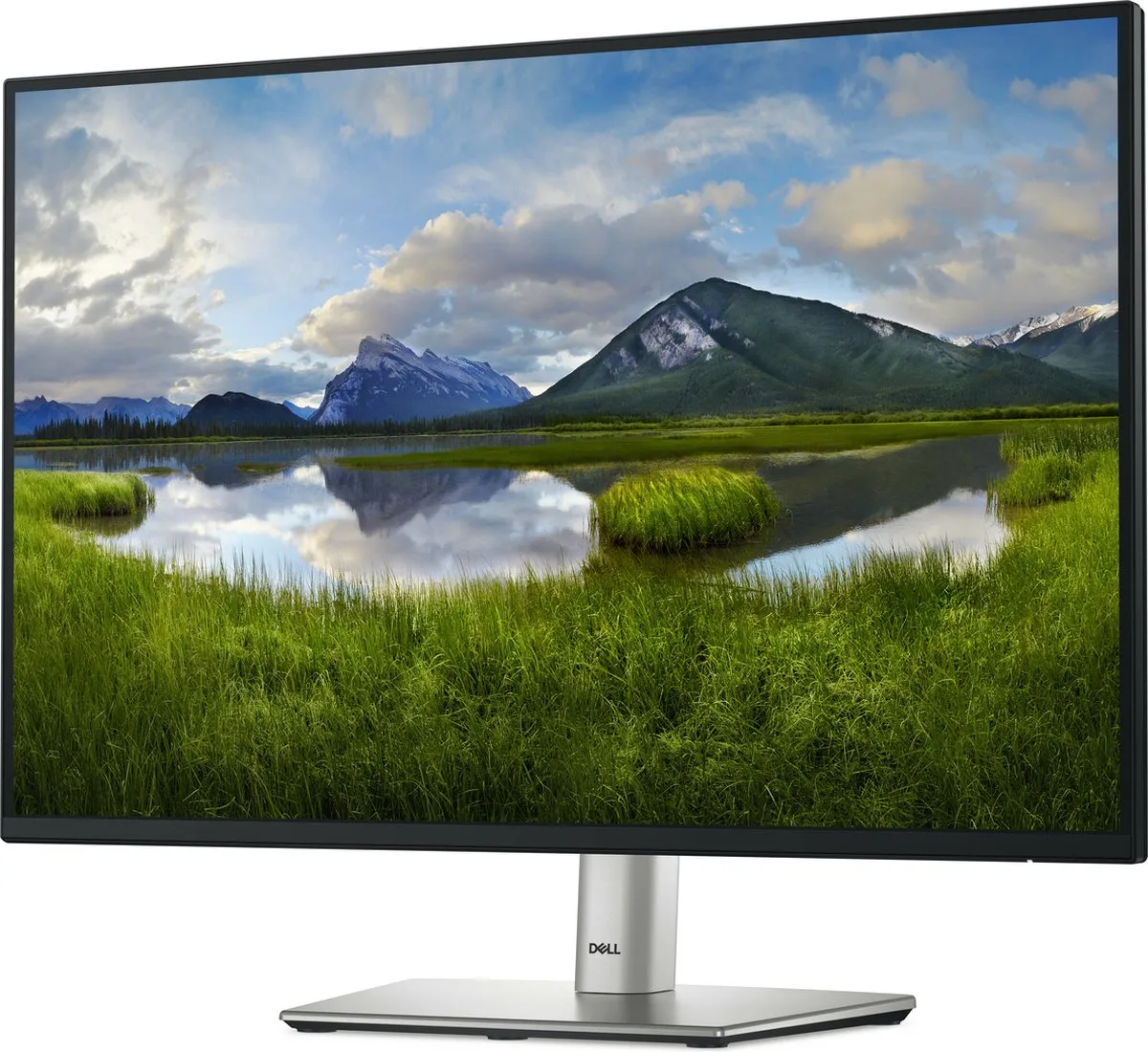 Dell P2425 WUXGA Monitor 24,1" 100Hz
