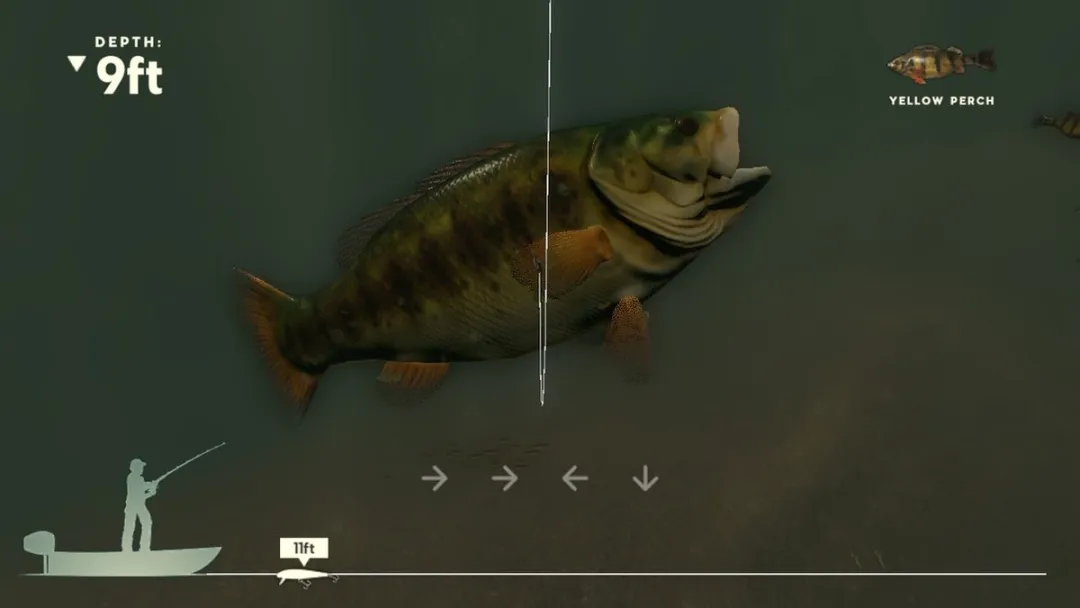 Mindscape Rapala Fishing Pro Series Nintendo Switch Code