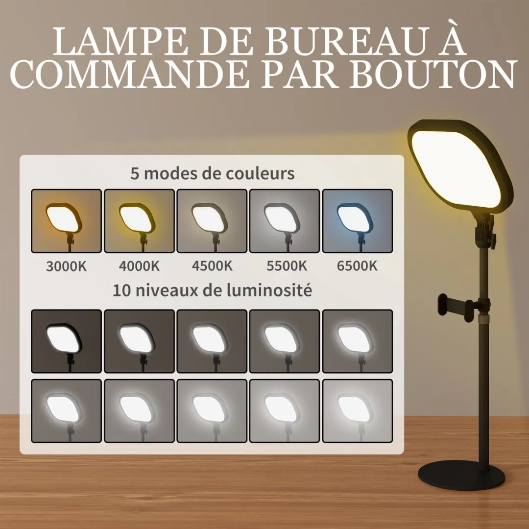 ECTEATOY LED Bureaulamp RGB Zwart - 10W - 5 Kleuren - Timer