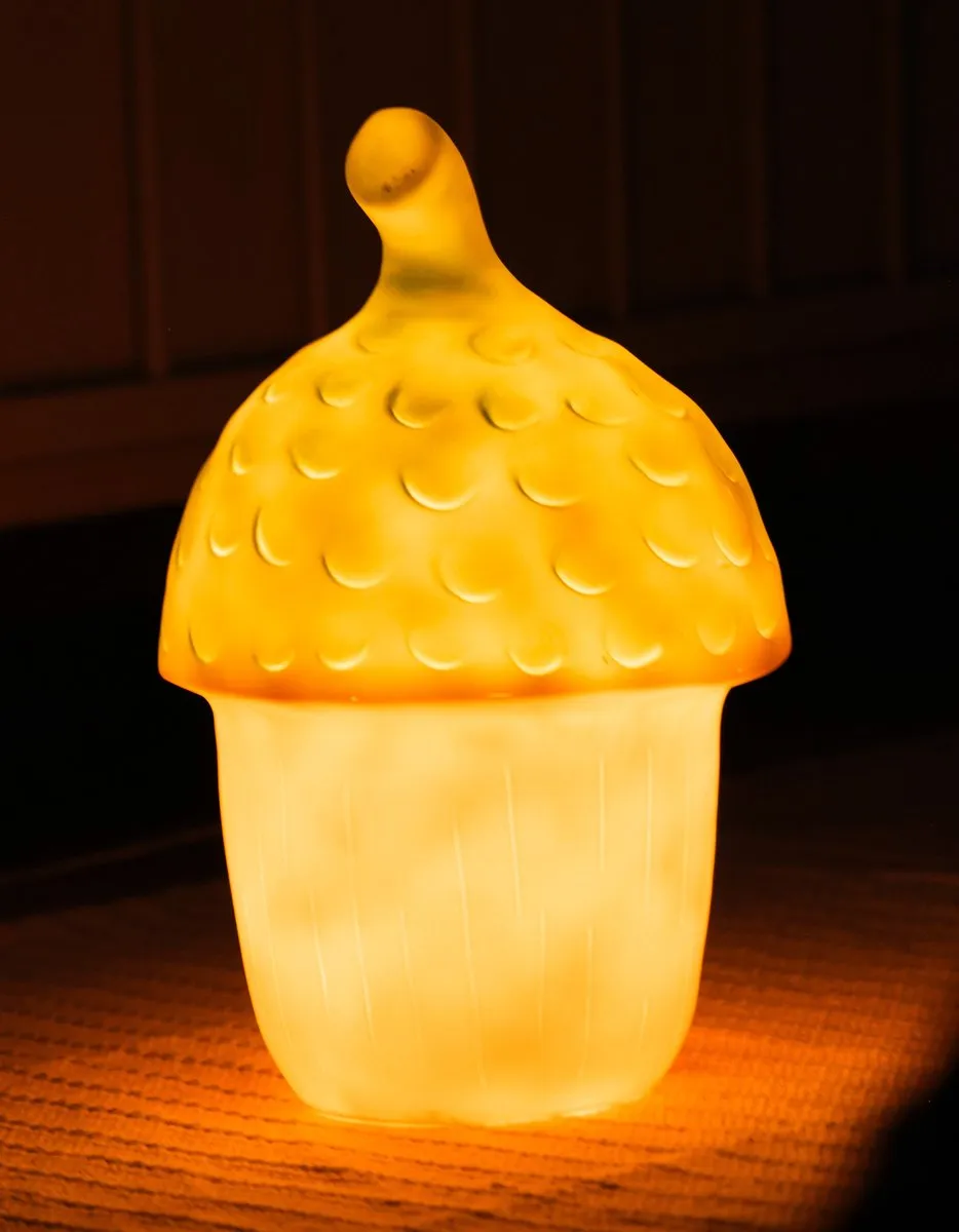 Egmont Toys Eikel Lamp Kinderkamer - 20x30cm - Meerkleurig