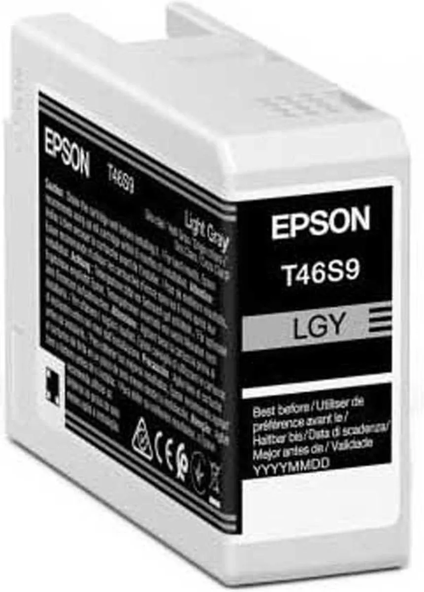 Epson C13T46S900 Grijs Inktcartridge - 25ml