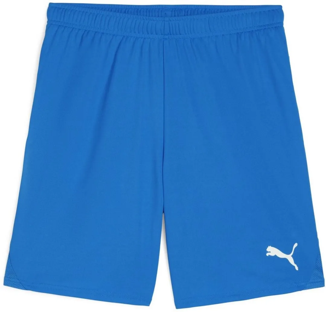PUMA TeamGoal Shorts 705752