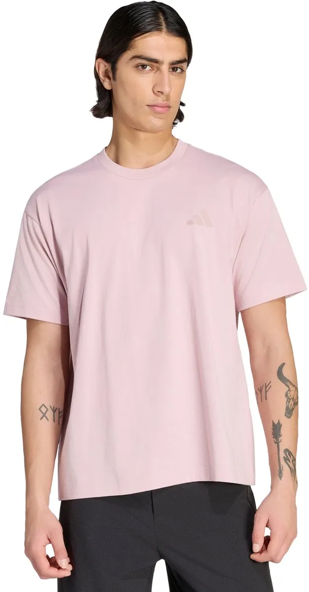 Adidas Terrex Wanderer Graphic T-shirt - Paars
